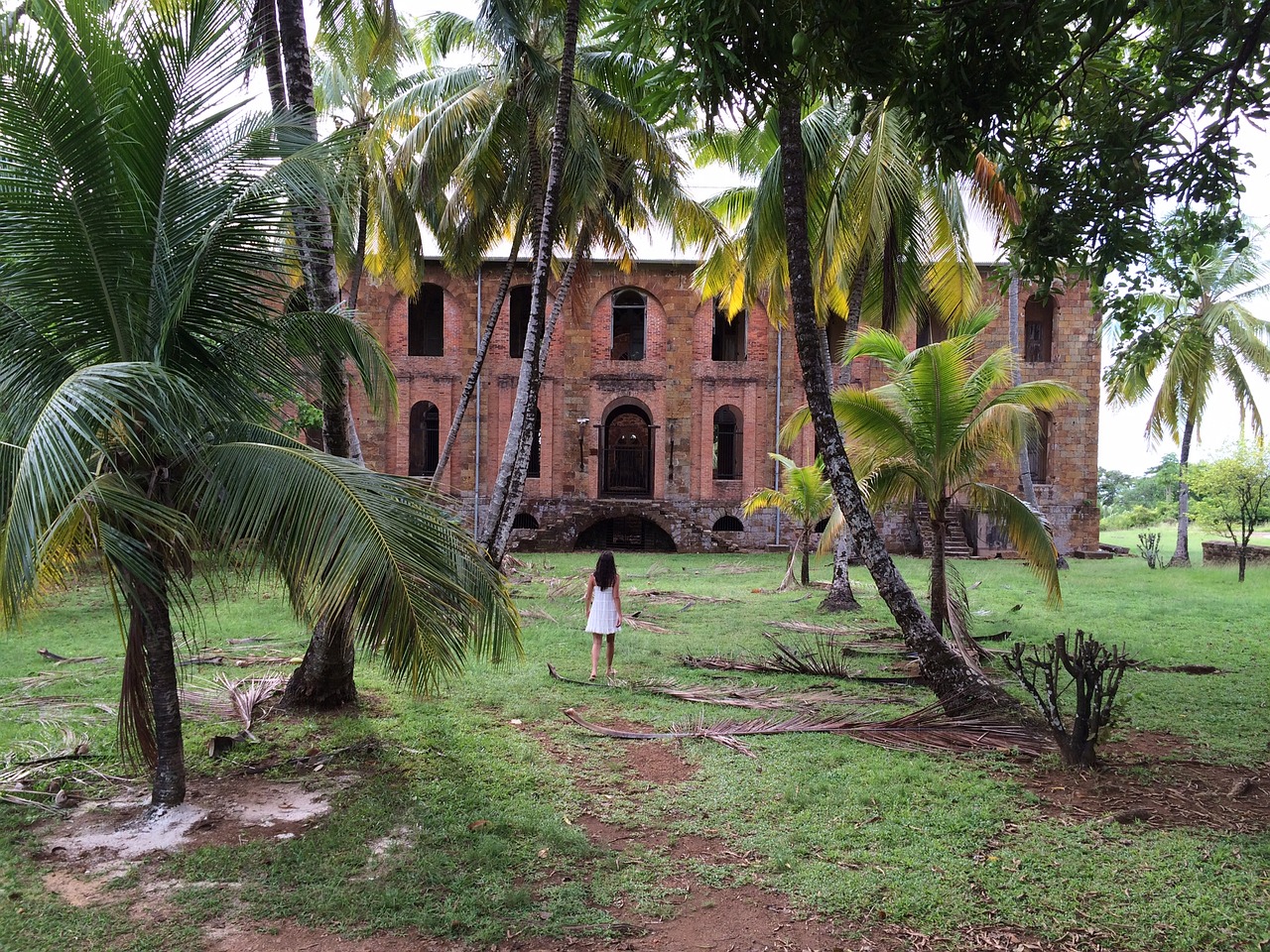 colonial jungle guyana free photo