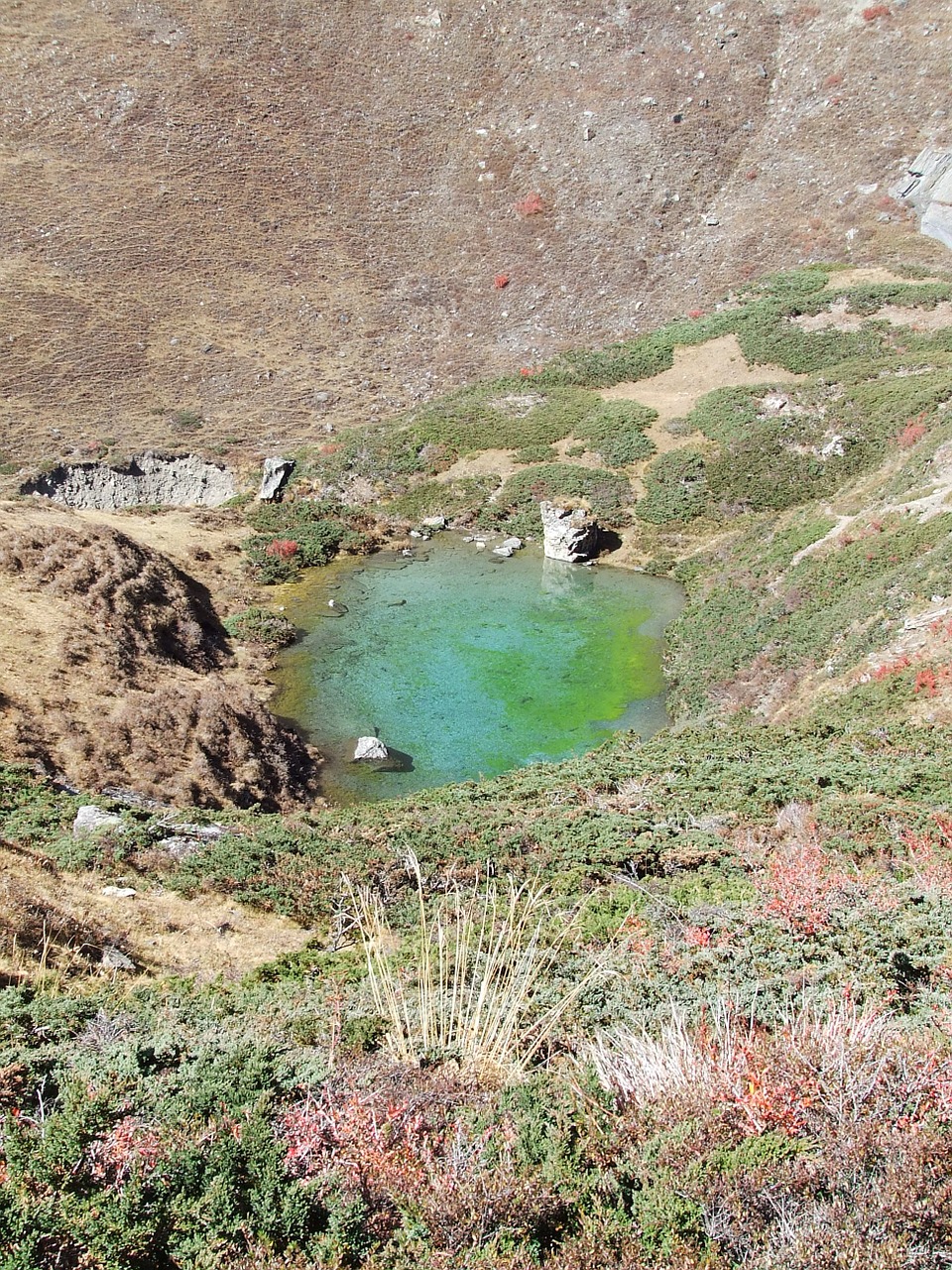 color lake nepal free photo