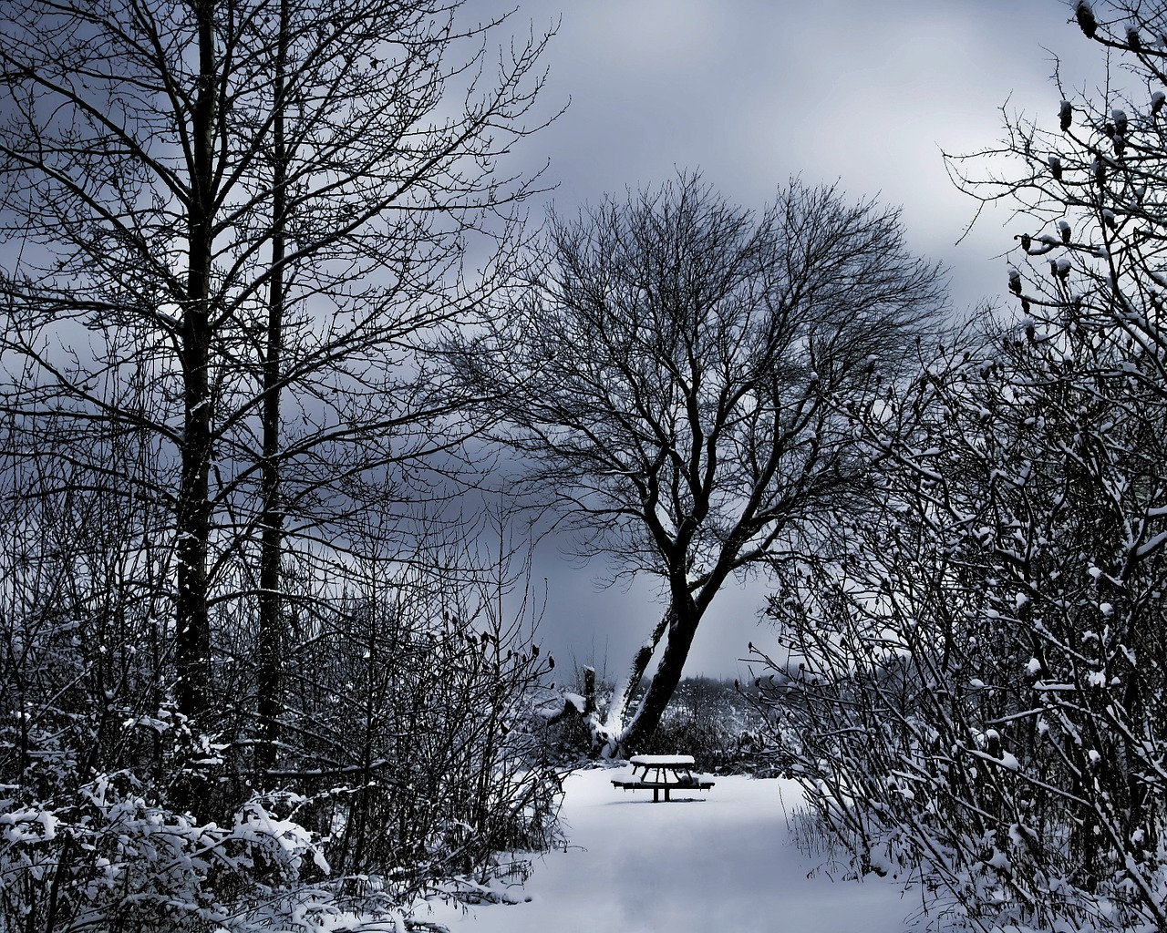 winter scenery snowy bench dark sky free photo