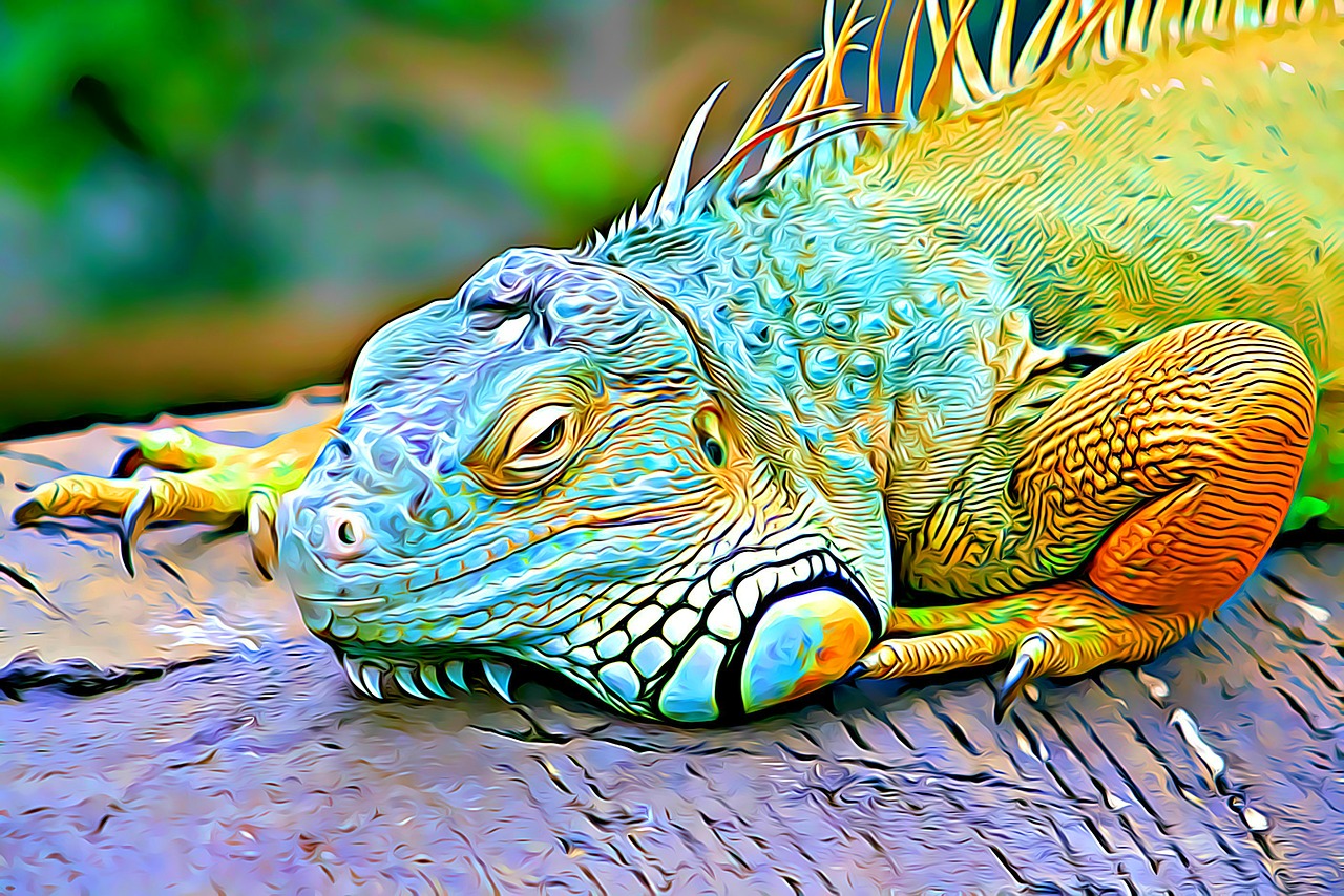color reptile eye free photo
