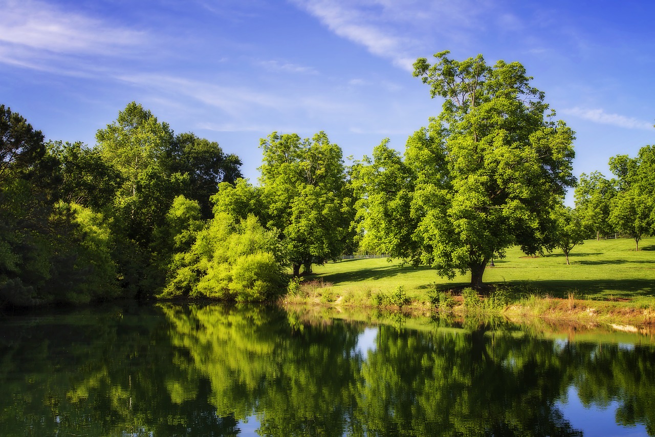 color pond lake free photo