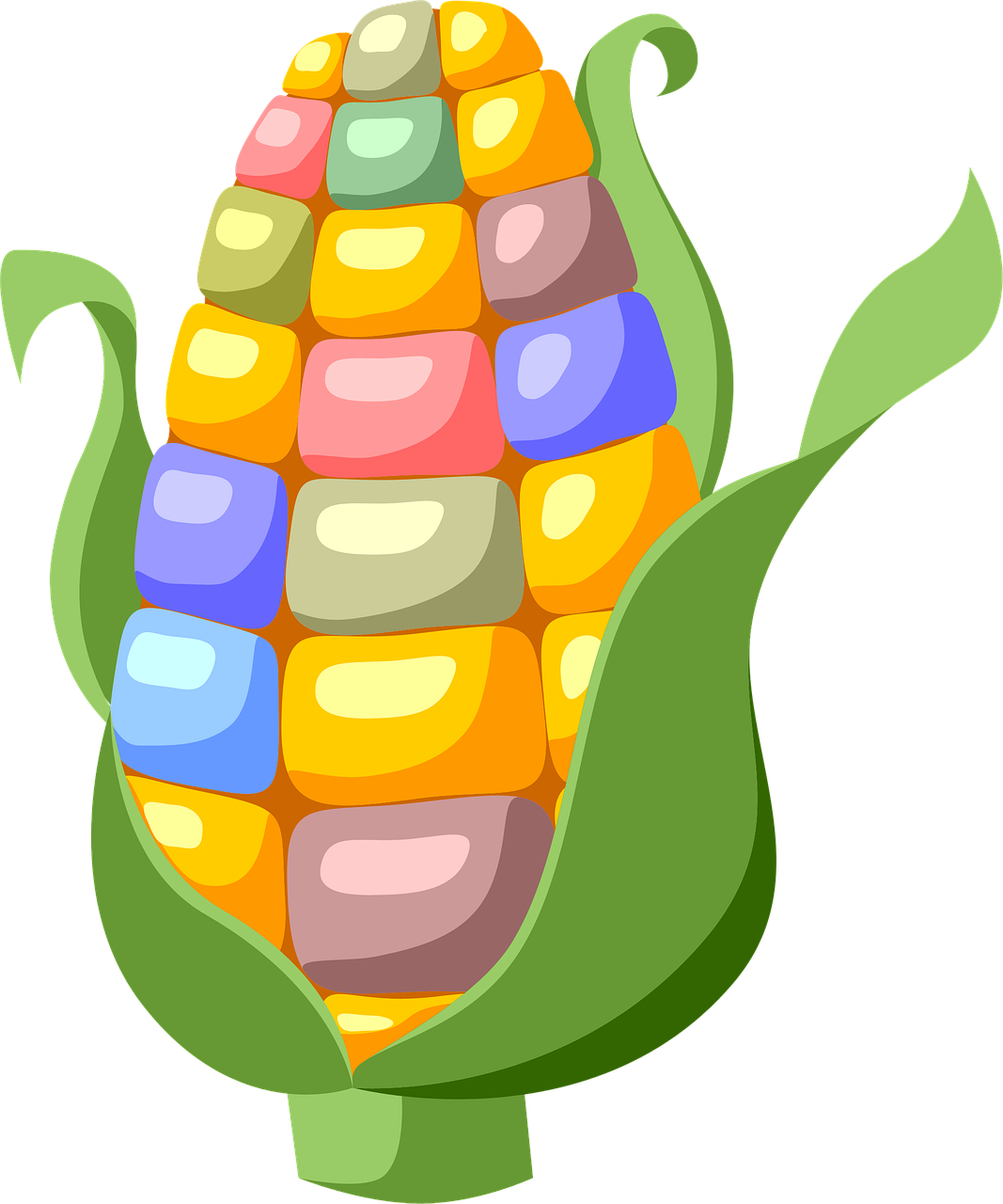 color the ear corn free photo