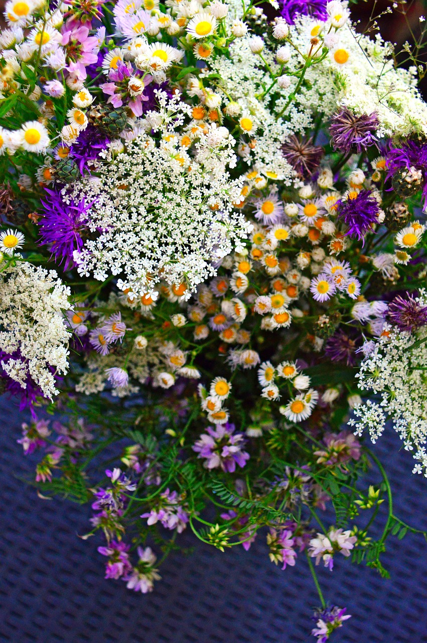 color  bouquet  summer flowers free photo