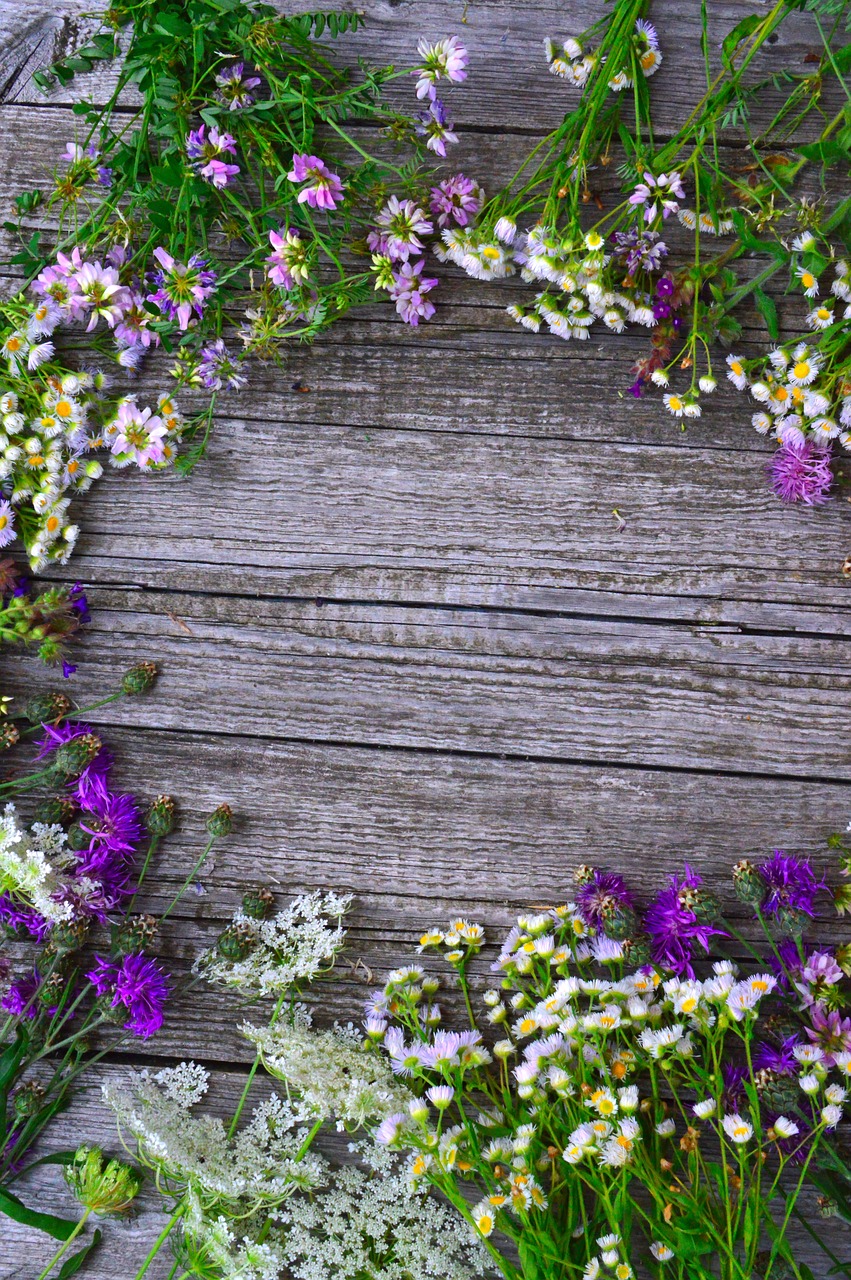 color  bouquet  summer flowers free photo