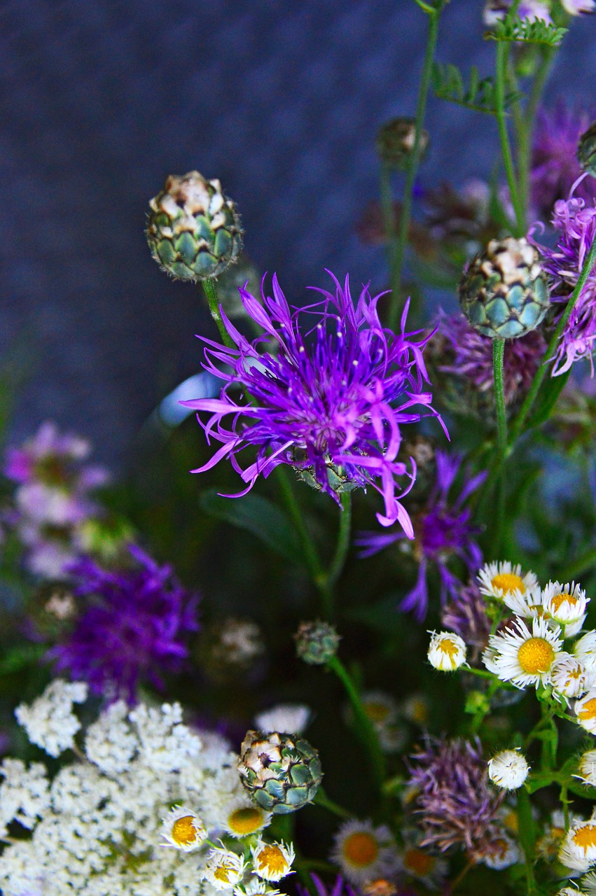 color  bouquet  summer flowers free photo