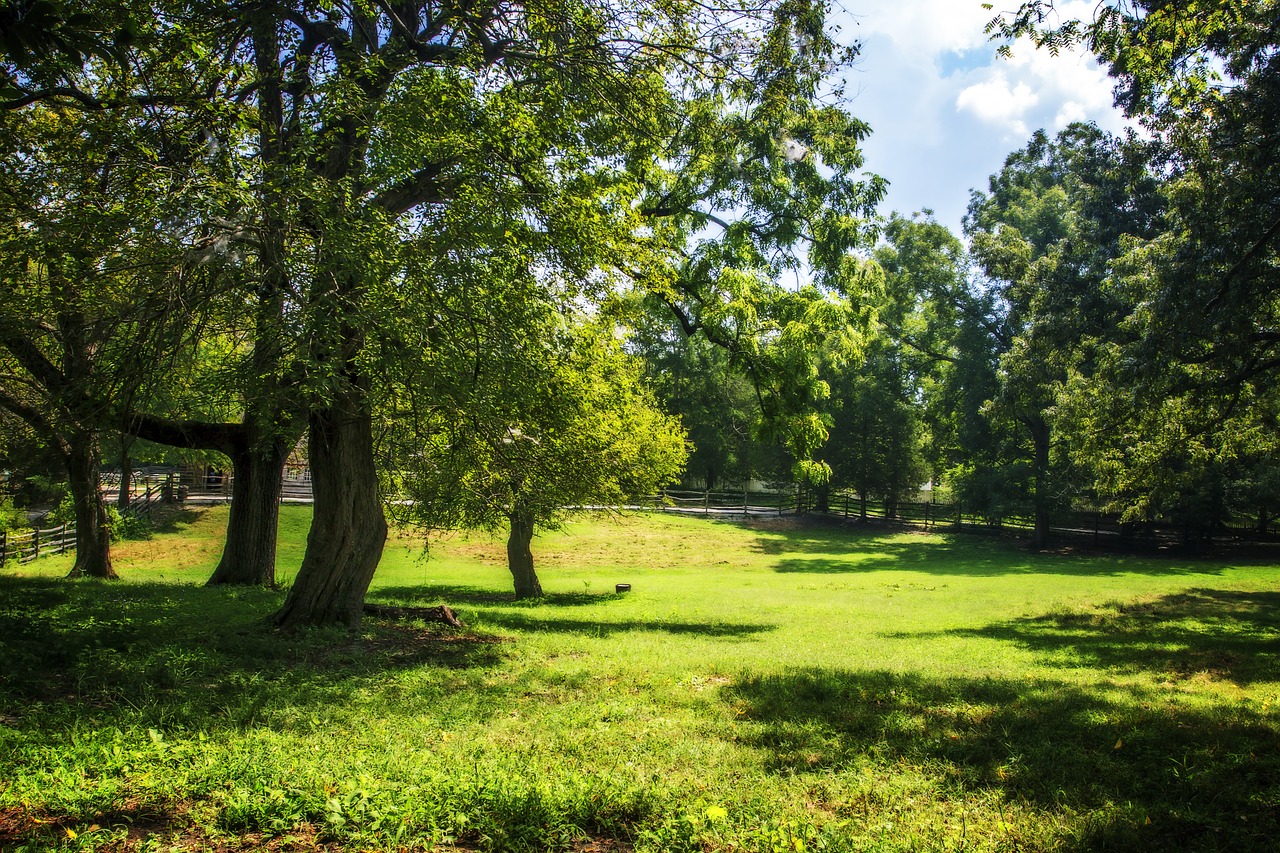 color  williamsburg  virginia free photo