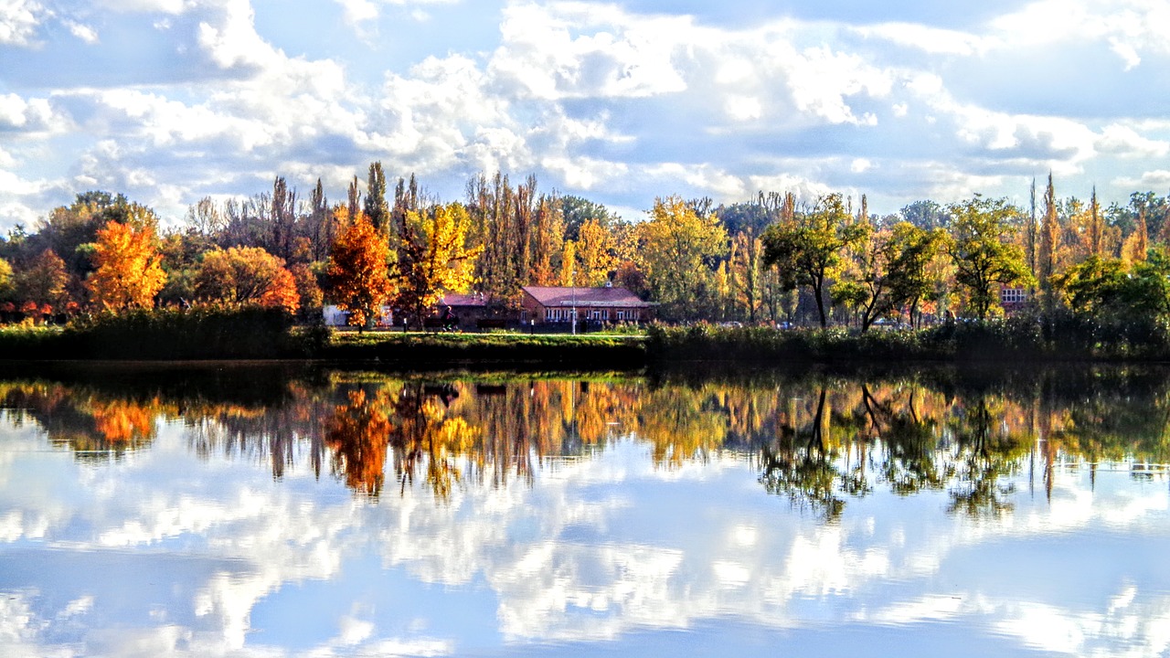 color  autumn  trees free photo