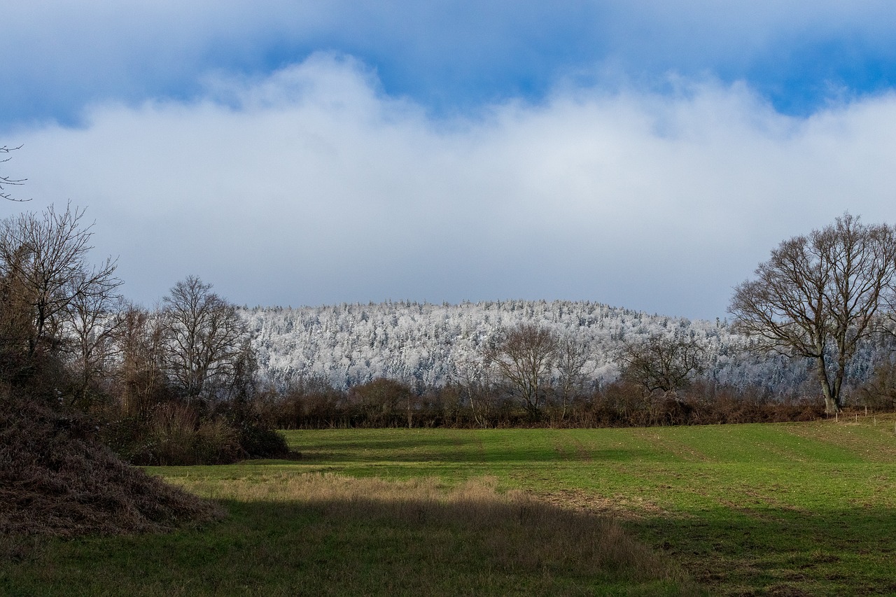 color  hill  frost free photo