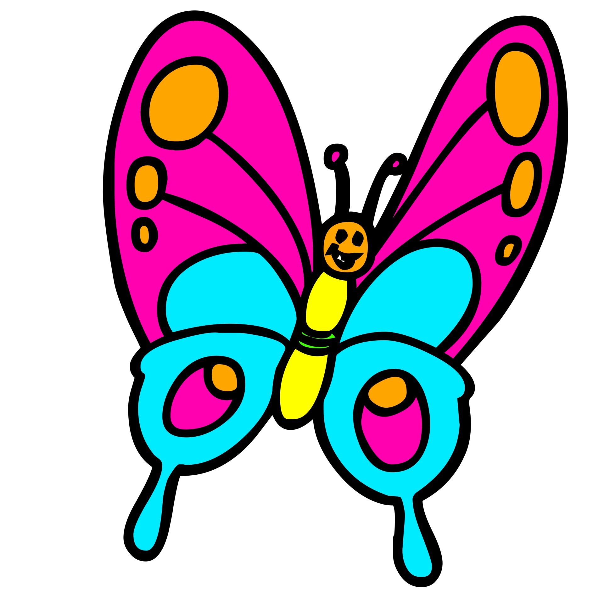 butterfly color cartoon free photo