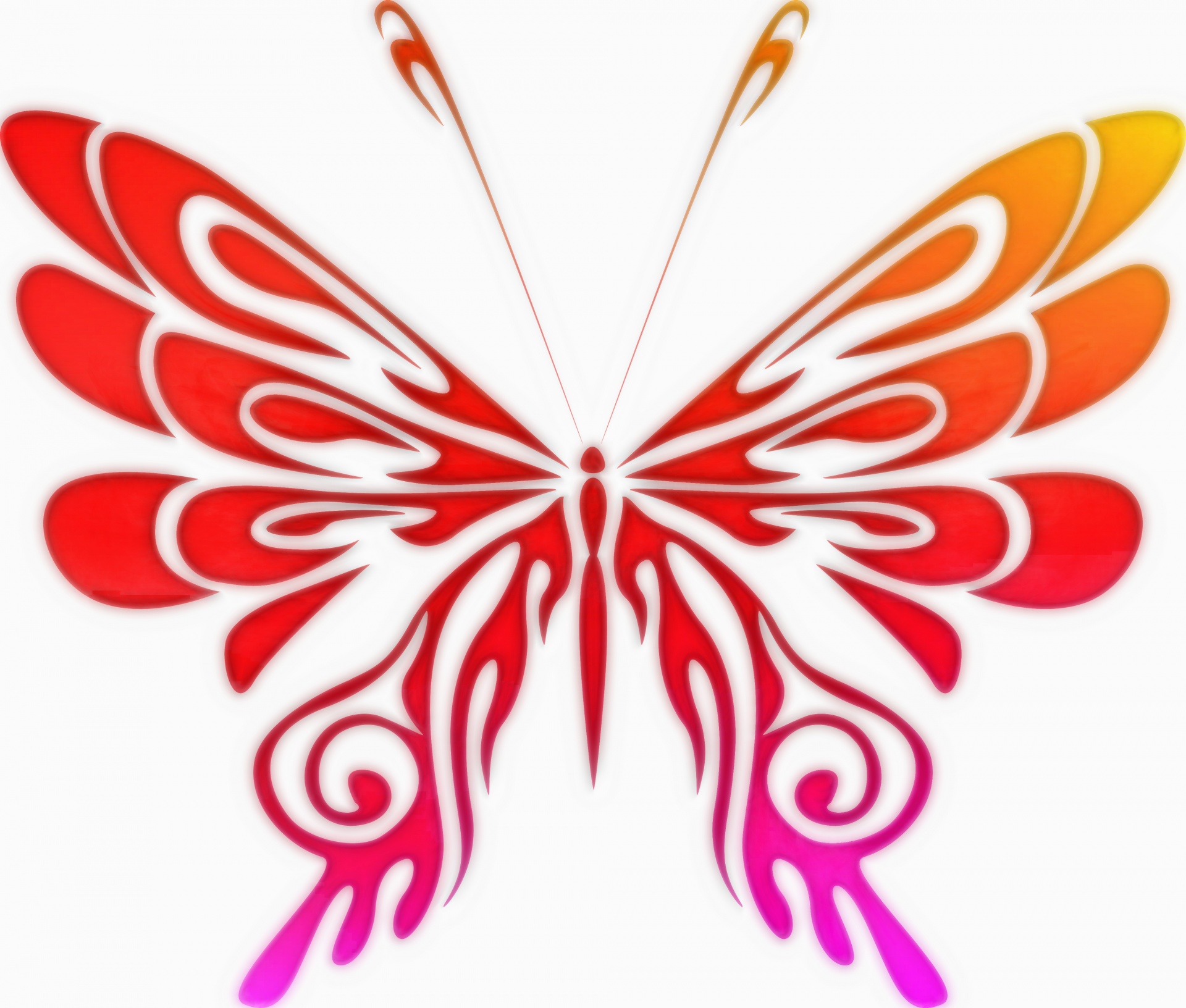 drawing butterfly gradient free photo