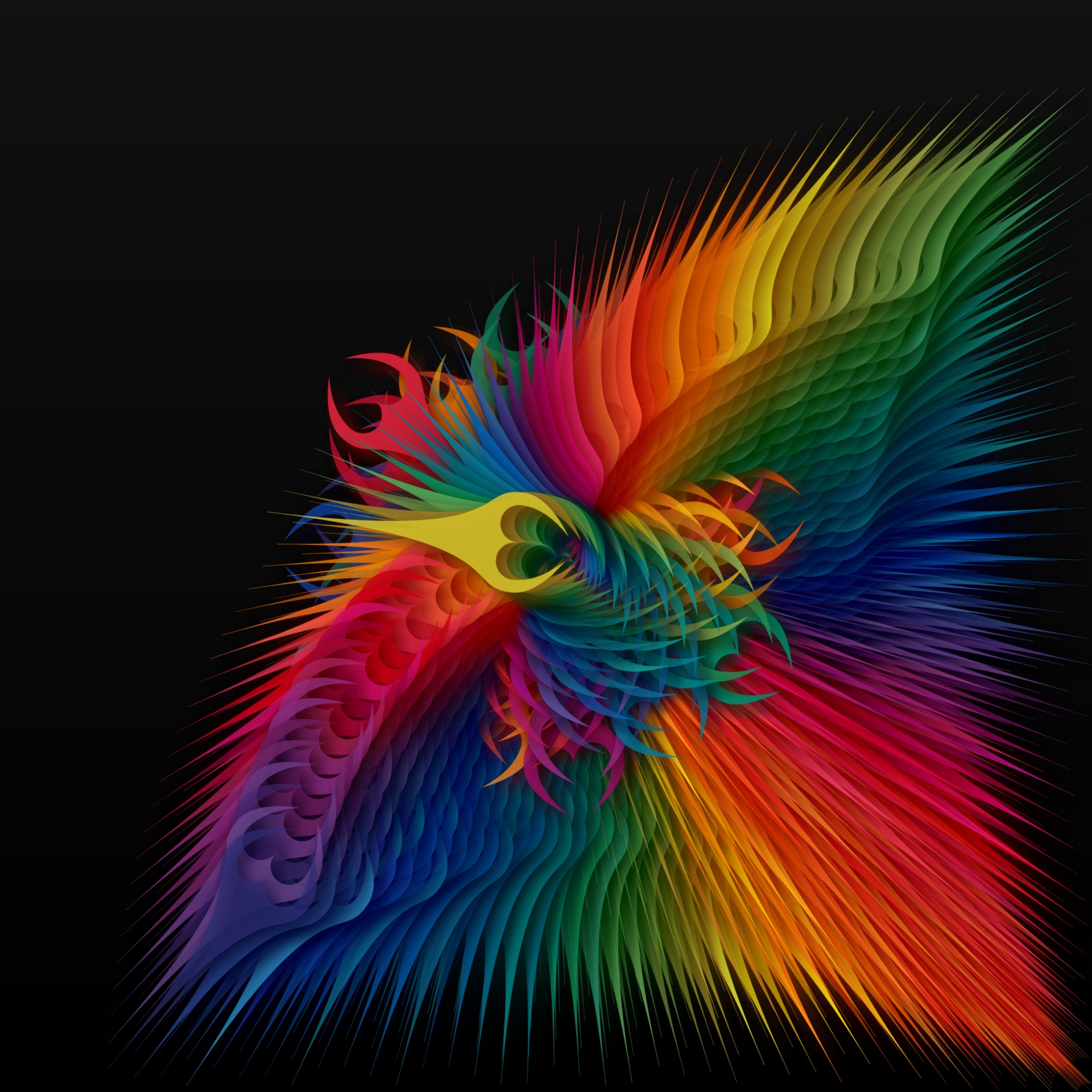 color fractal feathers free photo