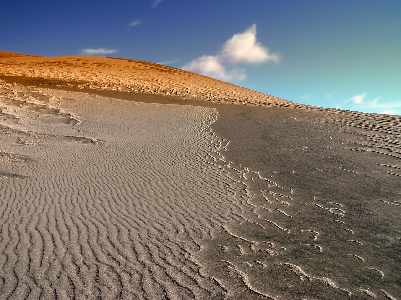colorado sand dune dunes free photo