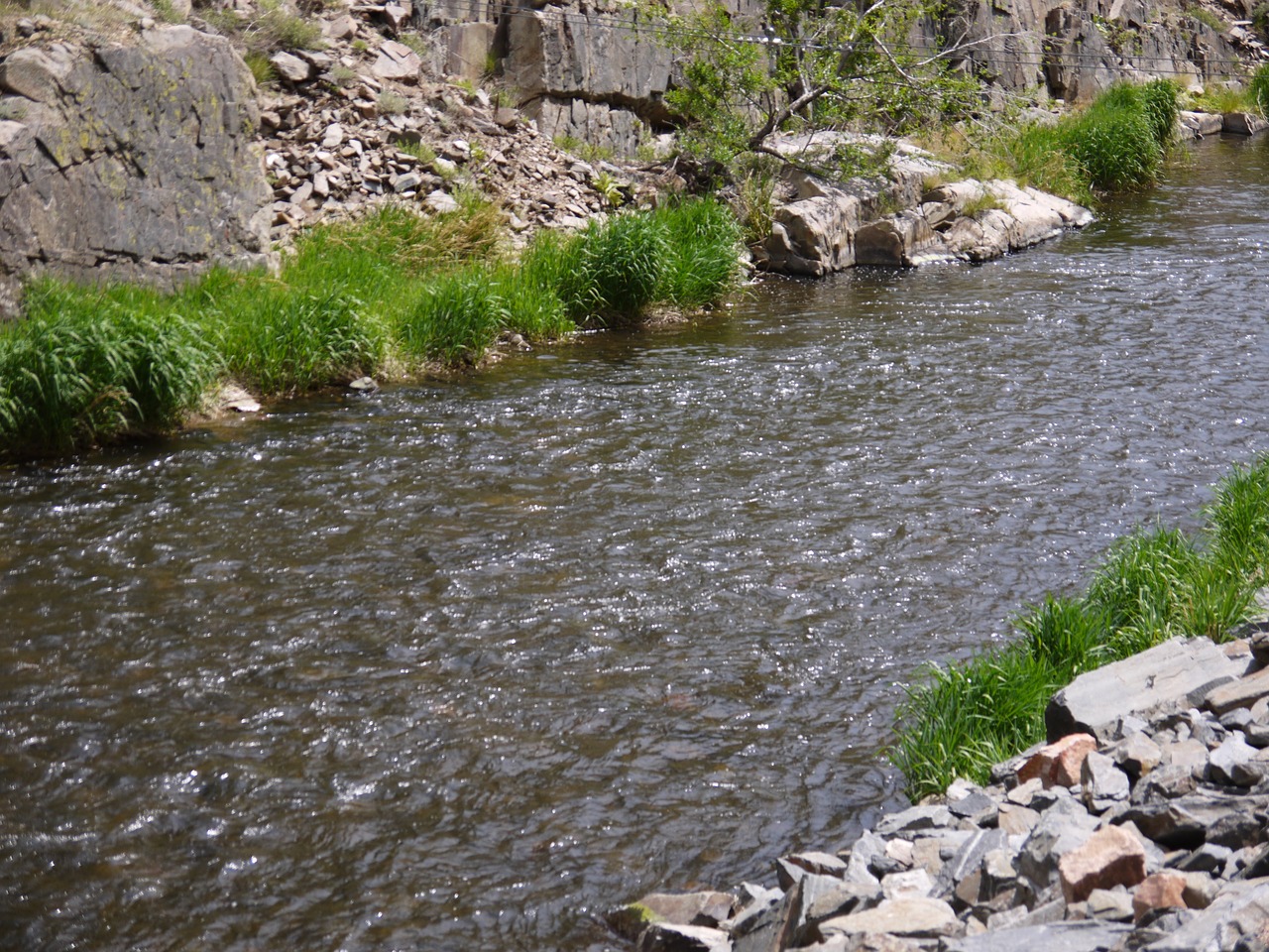 colorado river boulder creek free photo