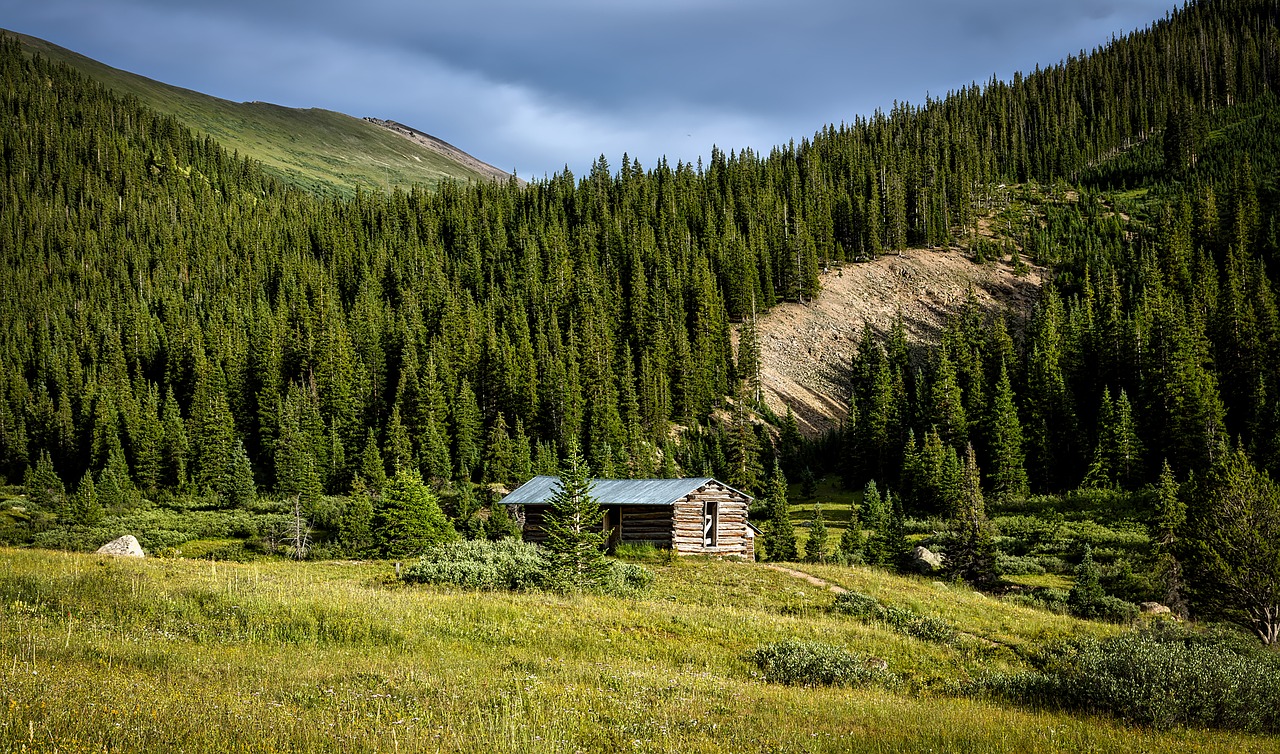 colorado landscape forest free photo