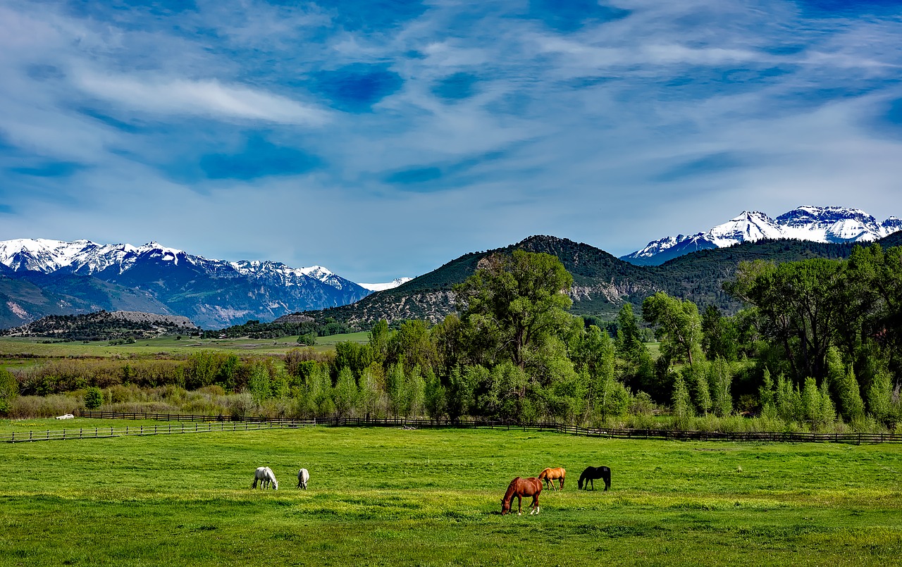colorado mountains horses free photo