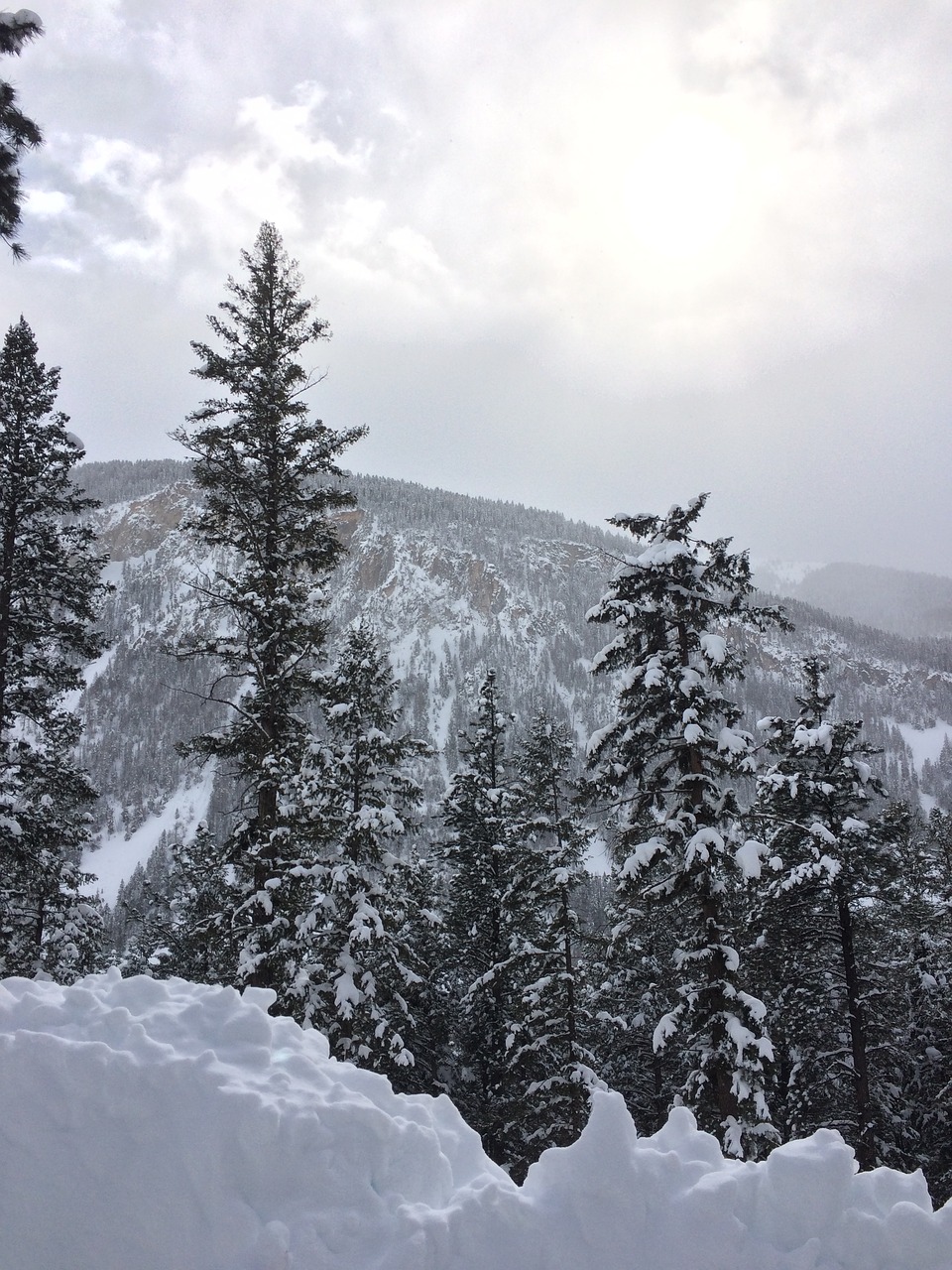 colorado winter snow free photo