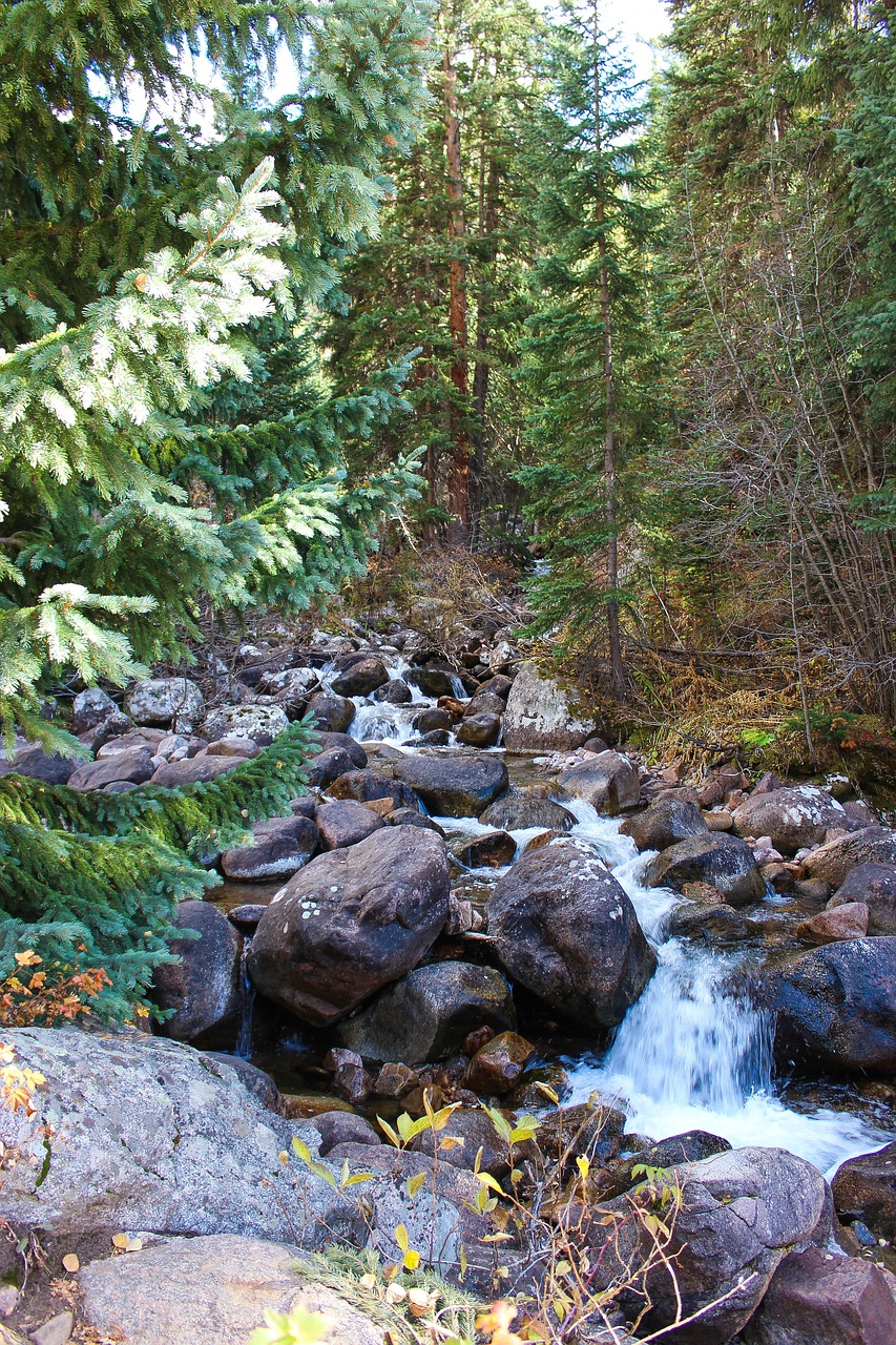 colorado creek water free photo