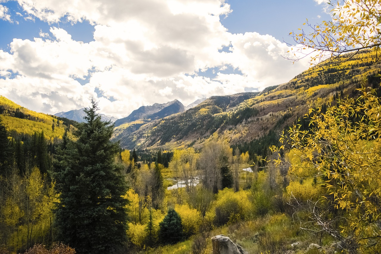 colorado fall leaves mountains free photo