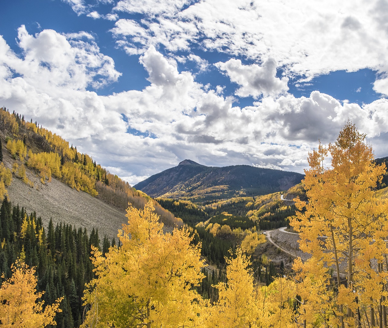 colorado fall leaves mountains free photo