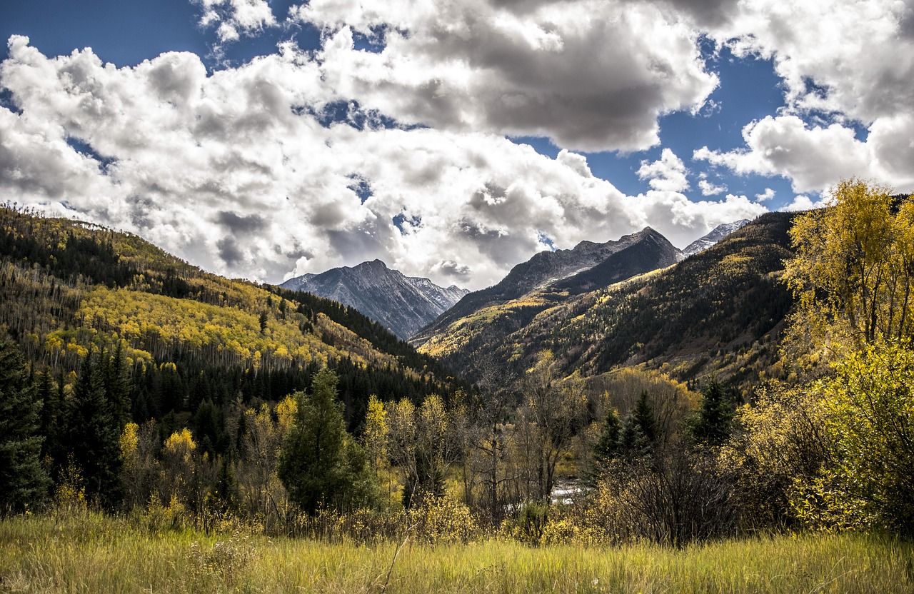 colorado fall leaves mountain free photo