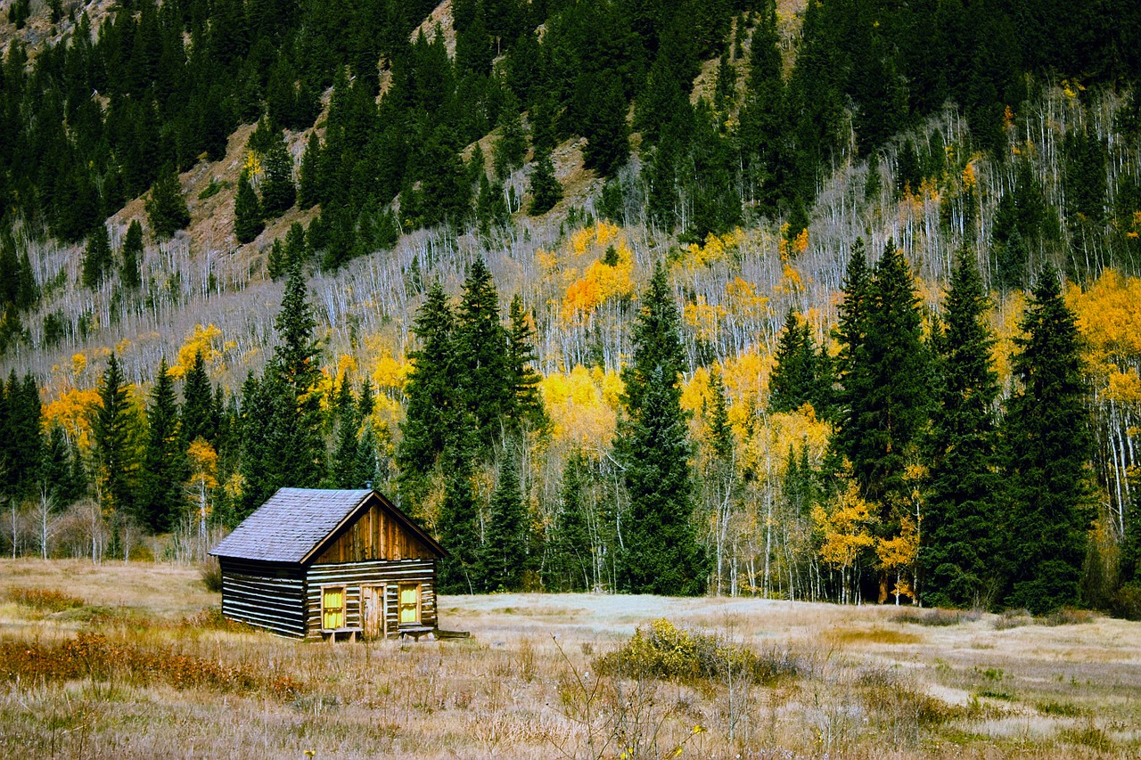 colorado fall autumn free photo