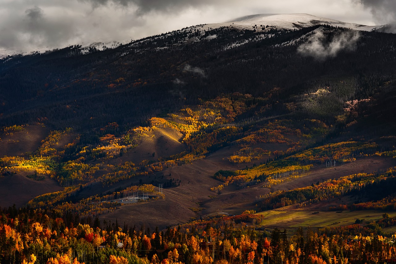 colorado autumn fall free photo