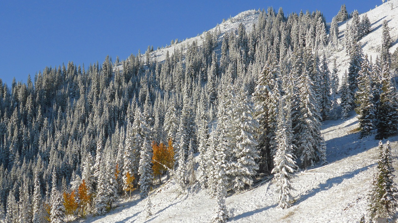 colorado mountain side snow free photo