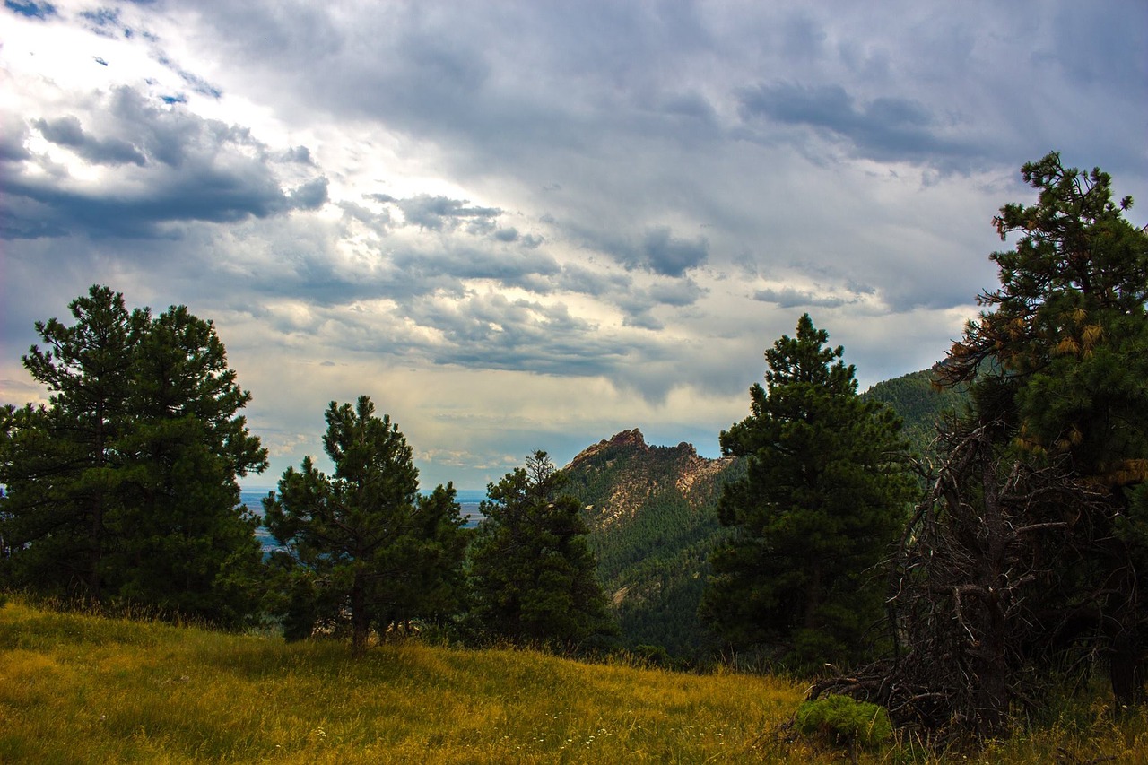 colorado mountains evergreen free photo