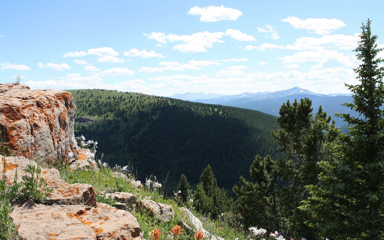 colorado summer mountains free photo