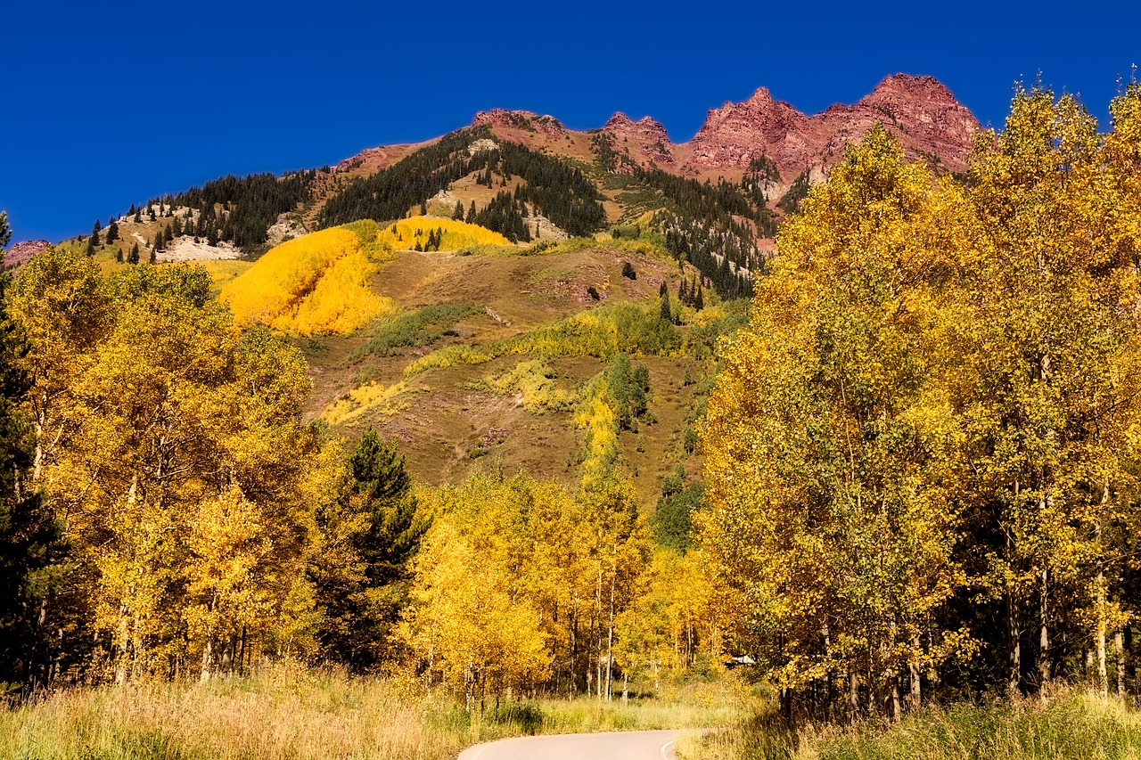 colorado autumn fall free photo