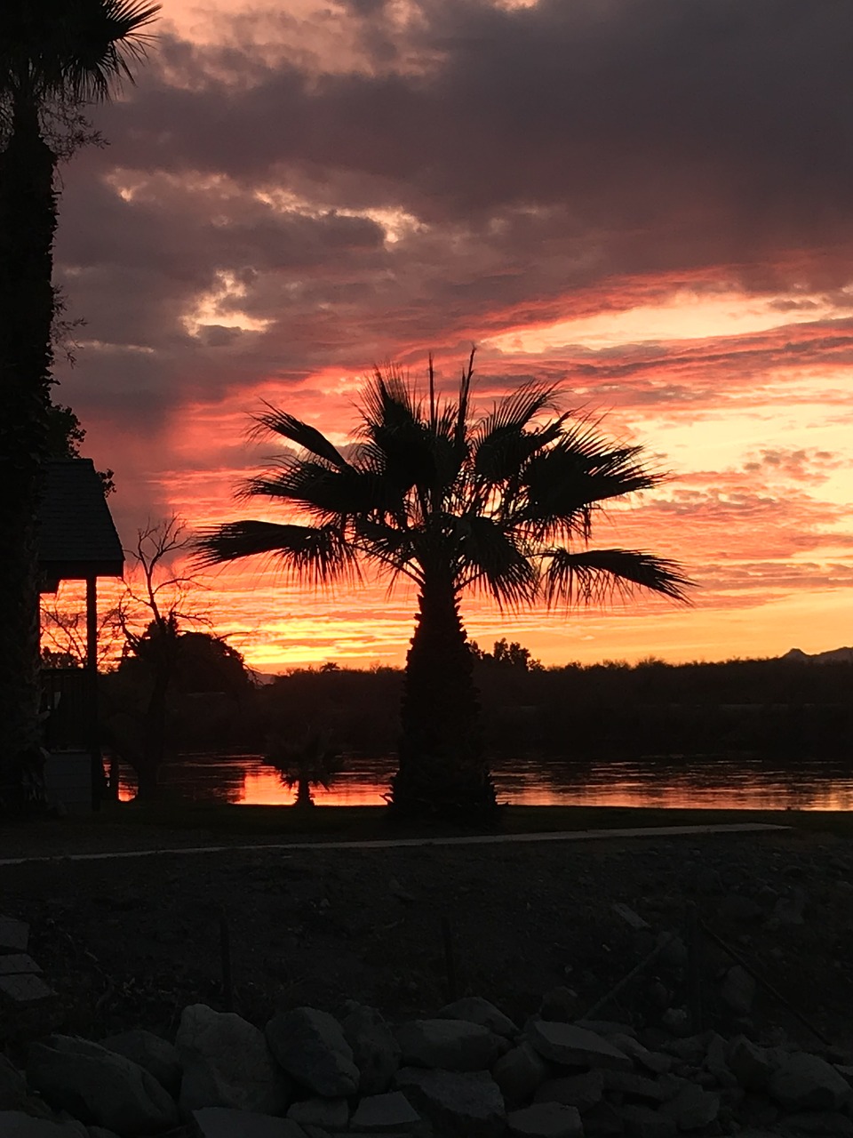 colorado  river  sunset free photo