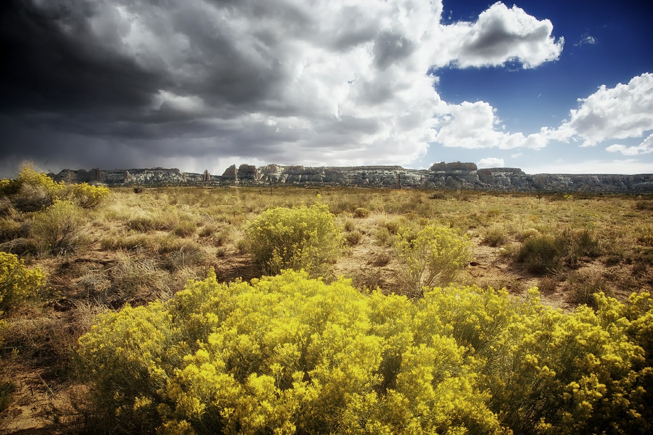 colorado landscape scenic free photo