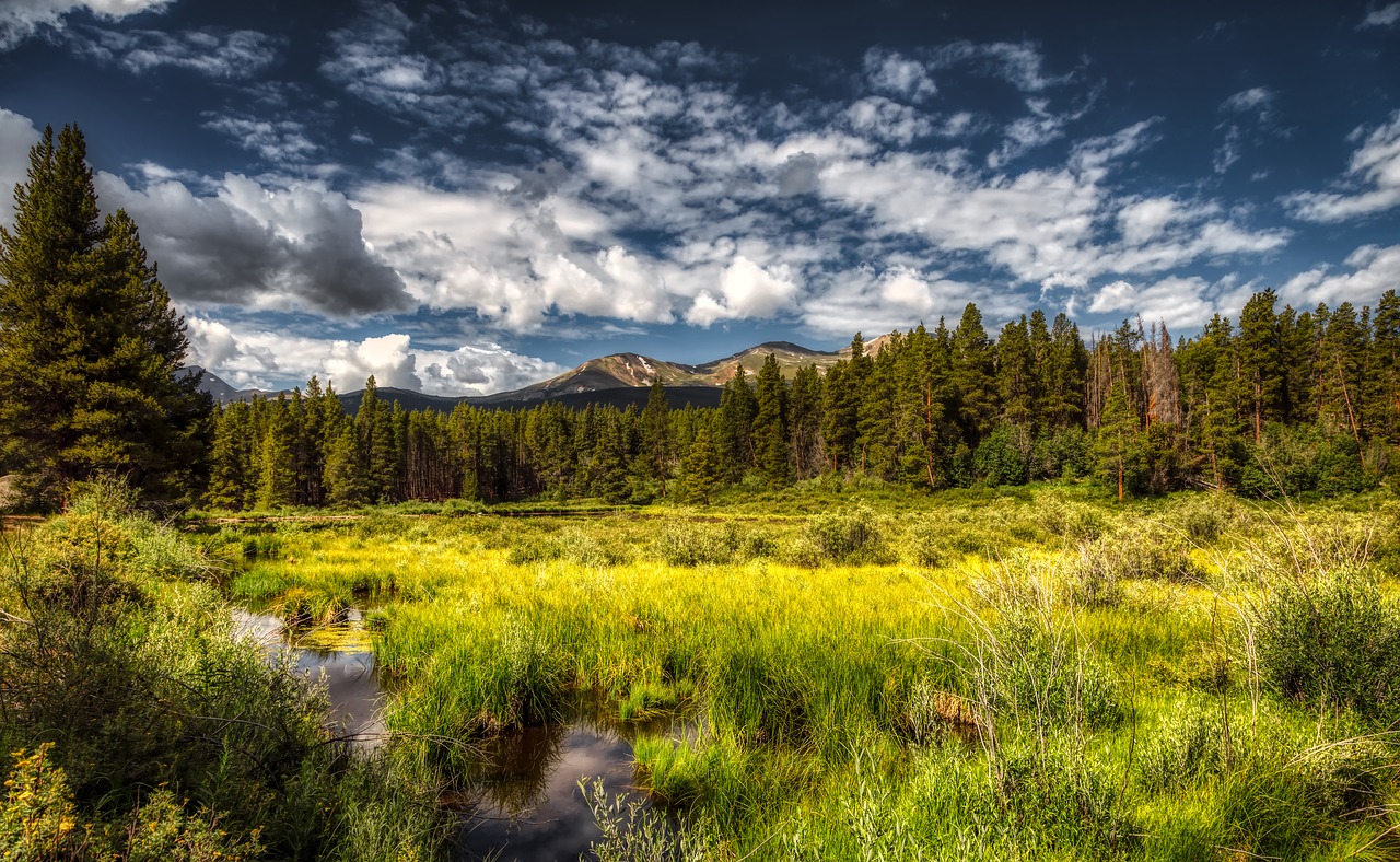 colorado  pond  marsh free photo