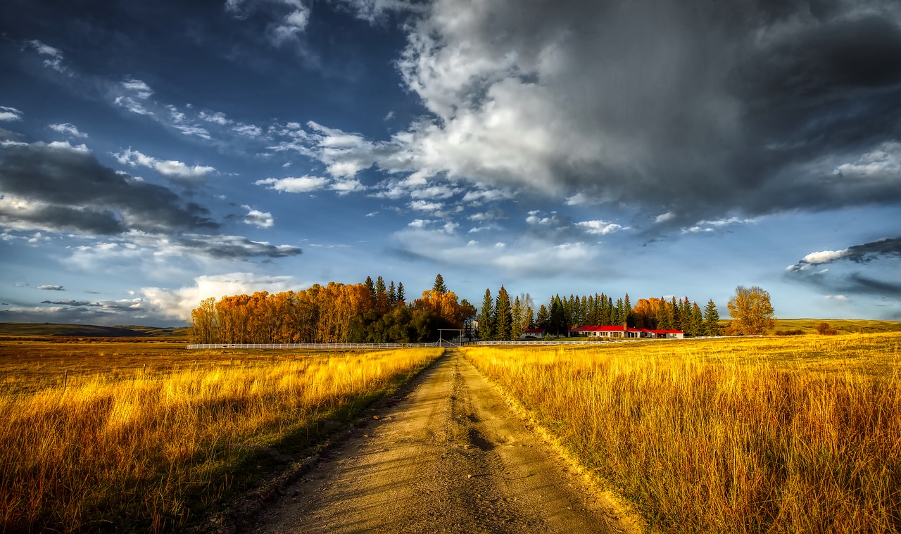 colorado  ranch  fall free photo