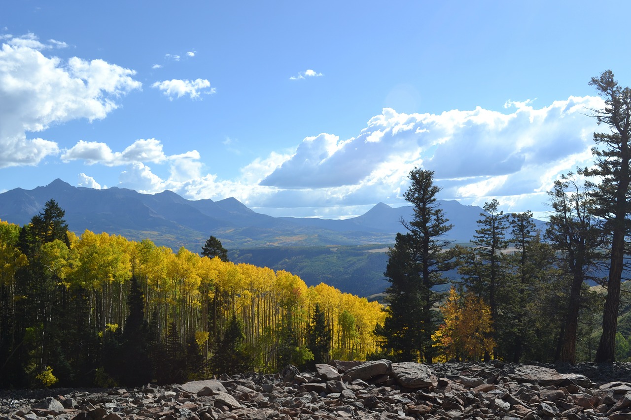 colorado rocky mountains aspen trees free photo