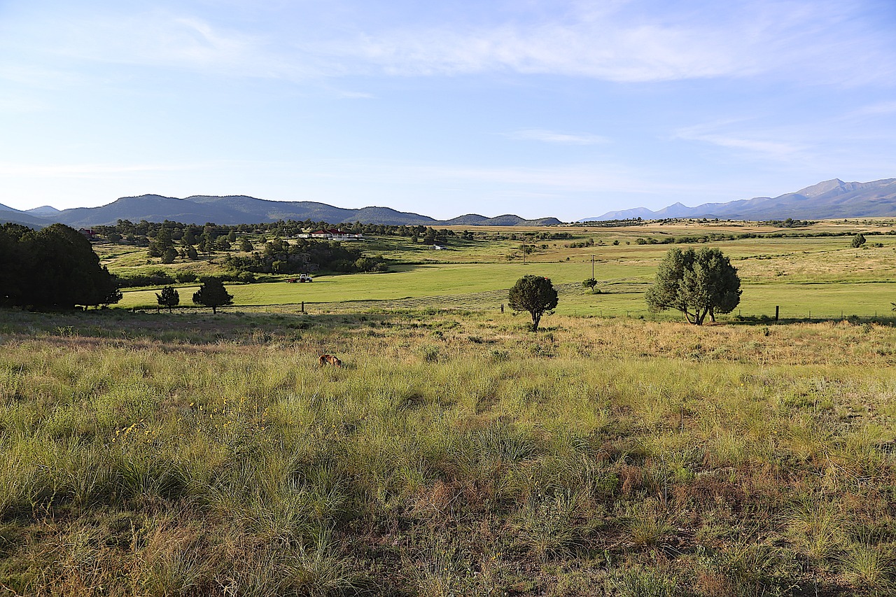 colorado countryside vizsla free photo