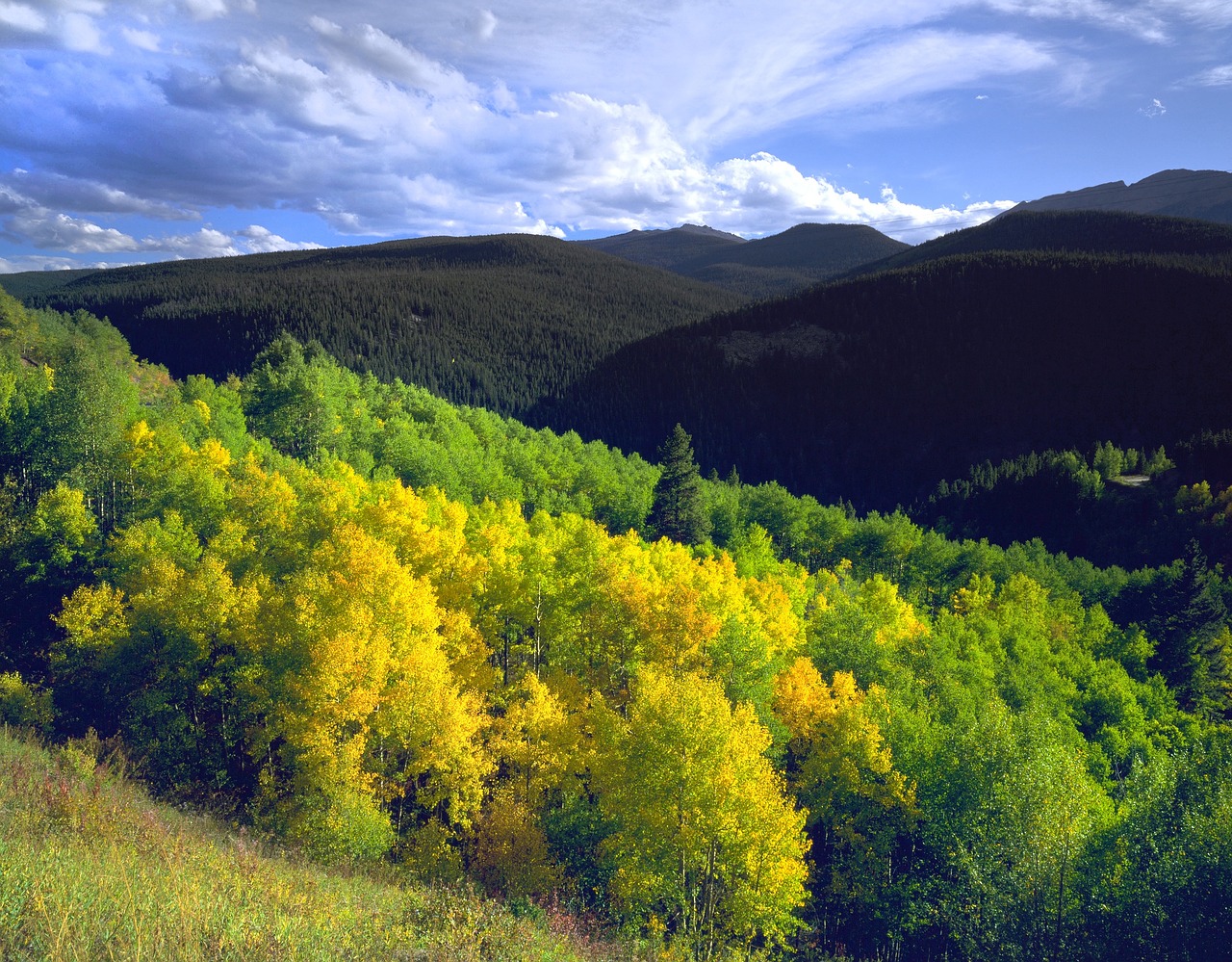 colorado aspen mountain free photo