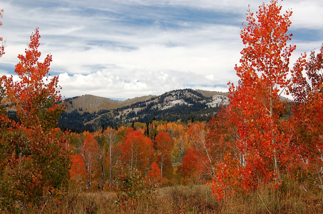 colorado landscape nature free photo