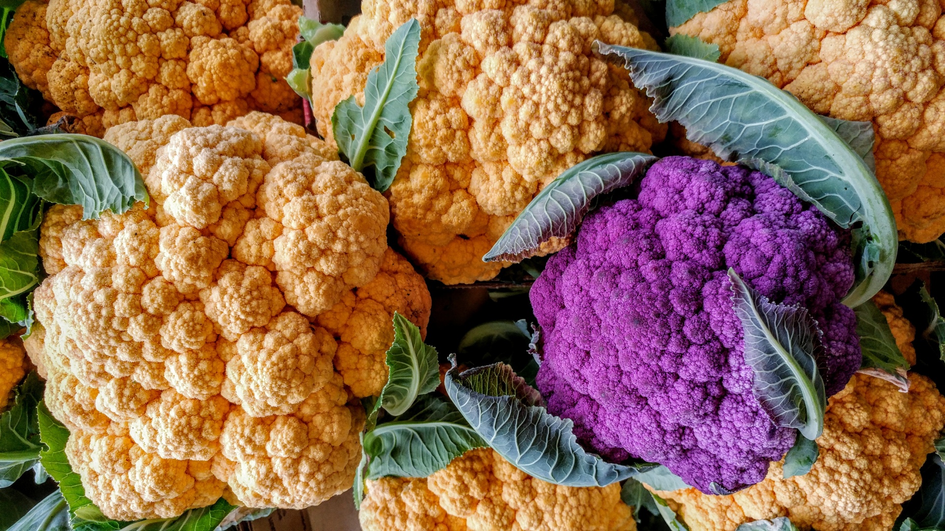 vegetables cauliflower purple free photo