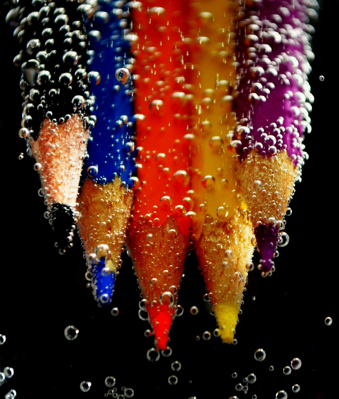 colored pencils water blow free photo