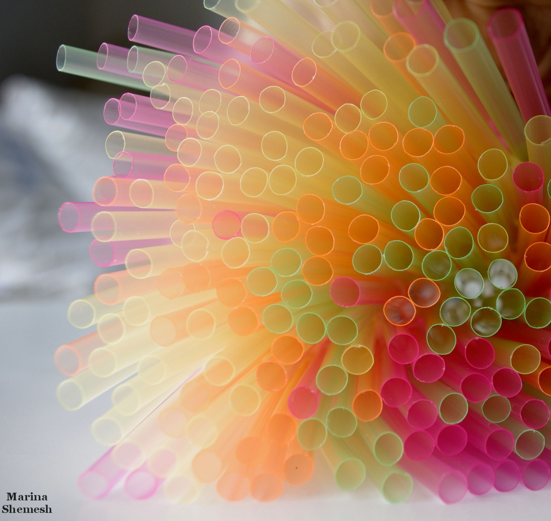 colored straws party free photo