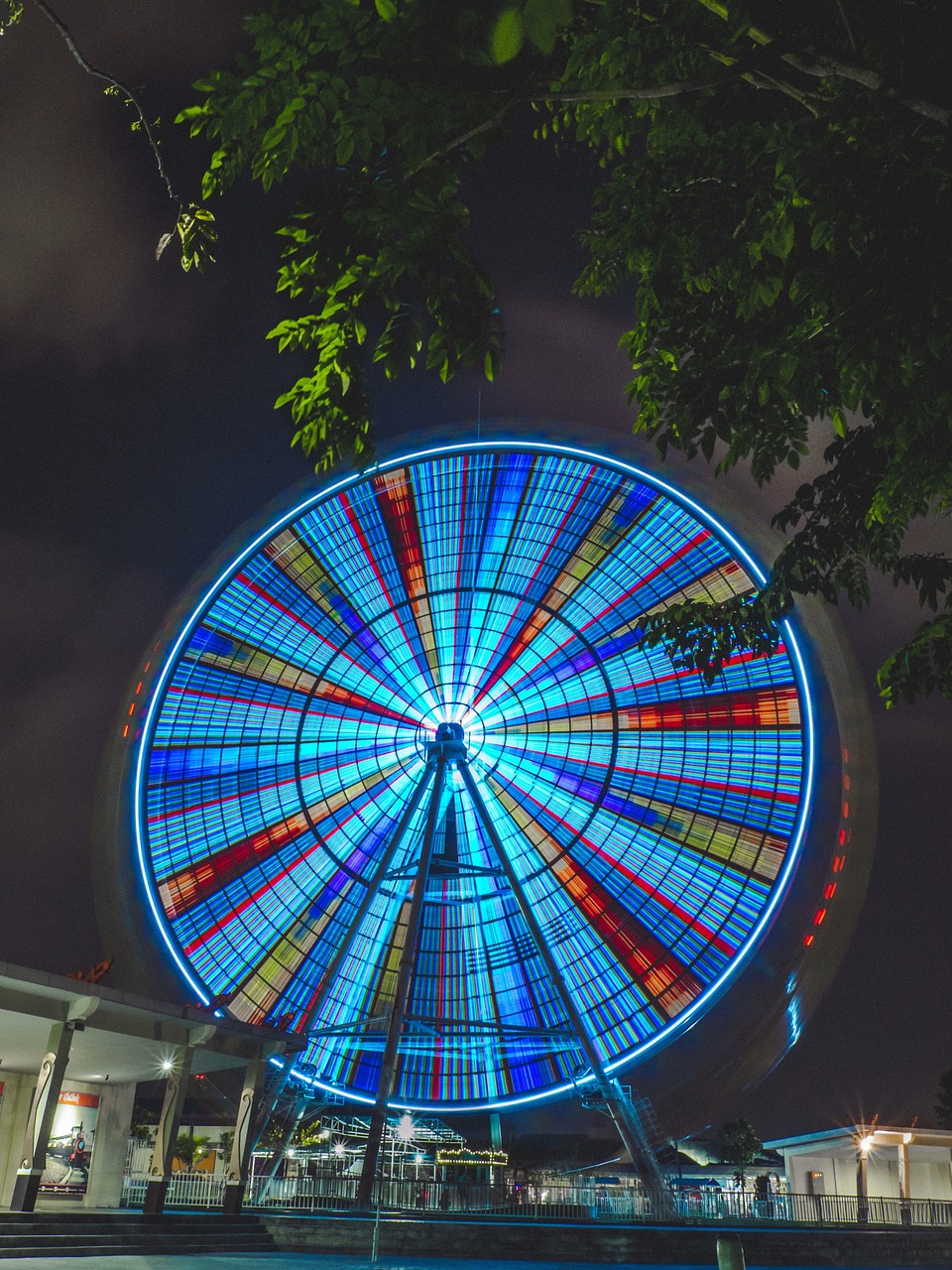 ferris wheel amusement park colorful free photo
