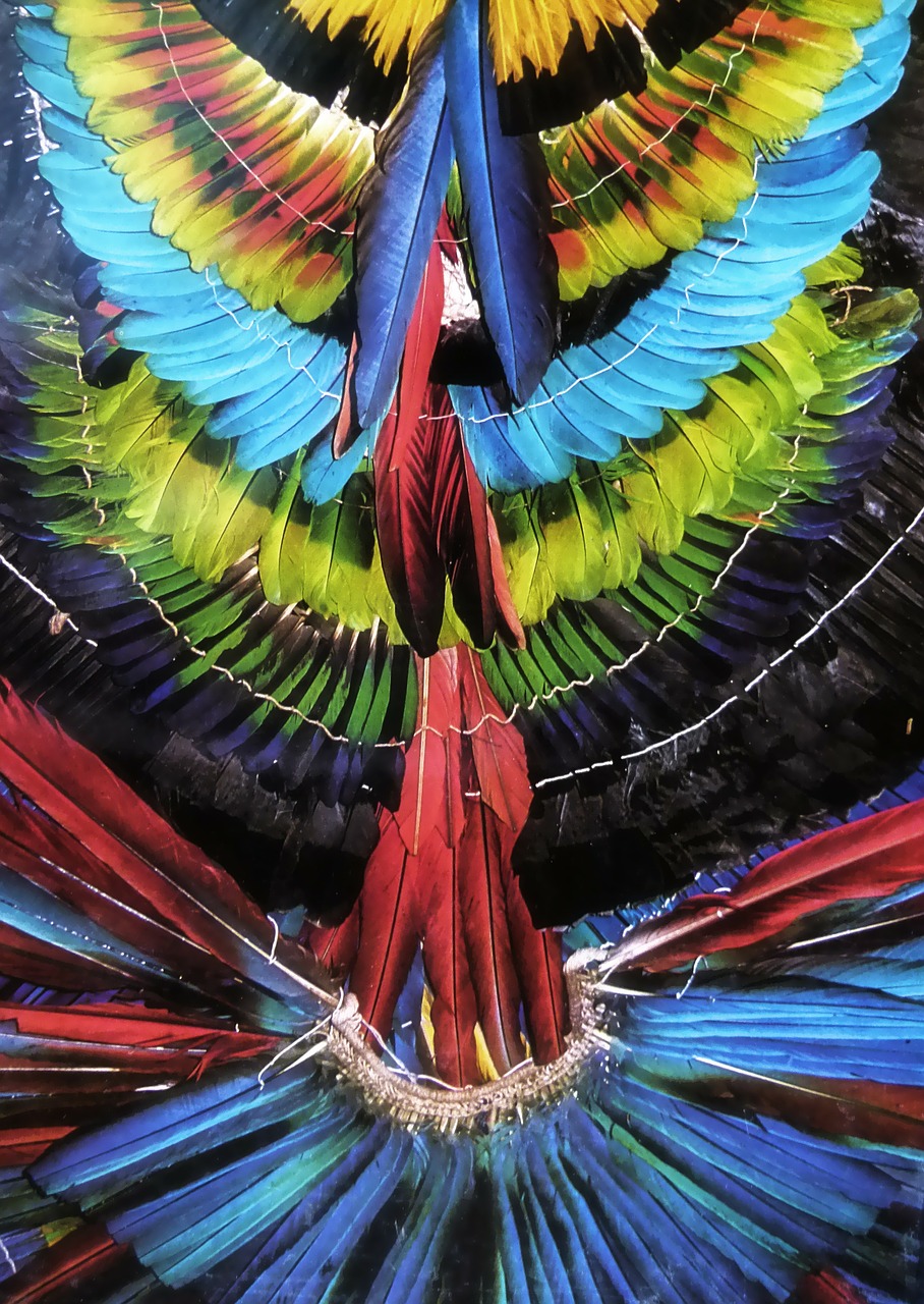 colorful feathered headdress amazon free photo