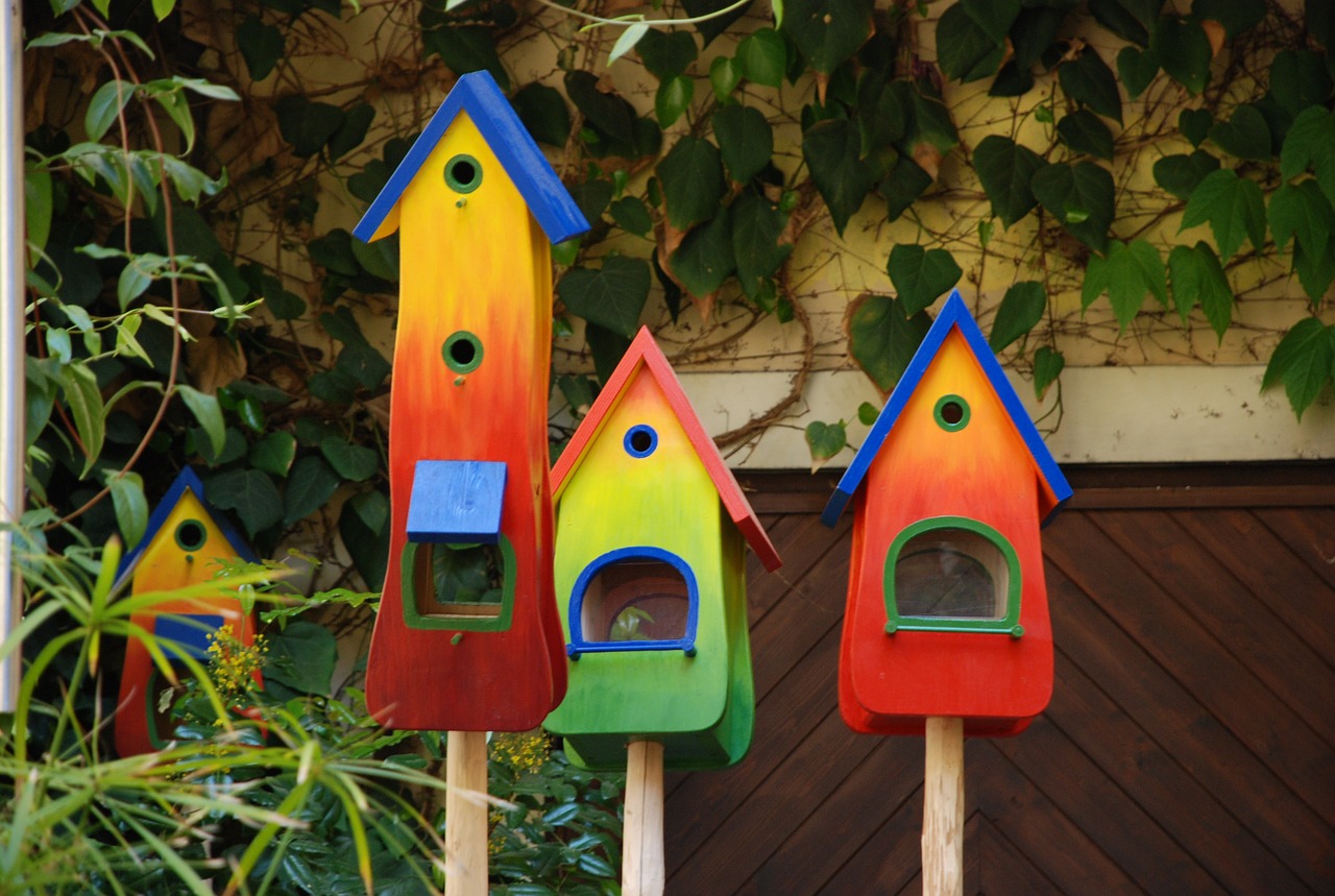 colorful bird feeder nesting box free photo