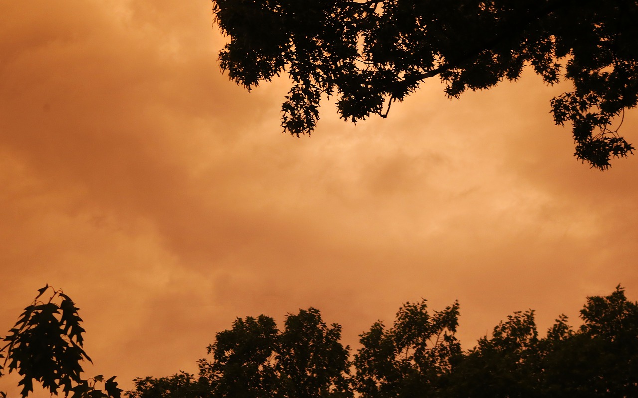 colorful clouds trees free photo