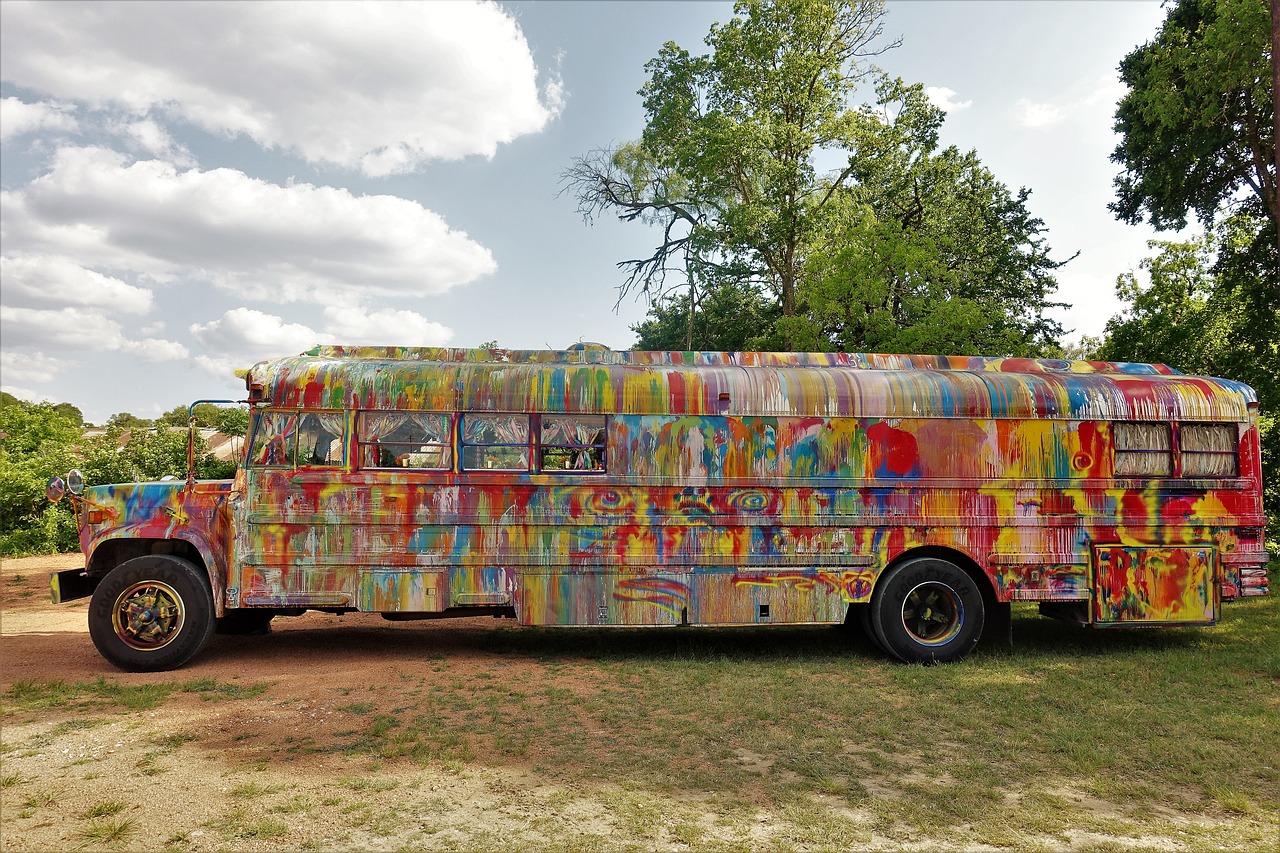 colorful  school bus  vehicle free photo