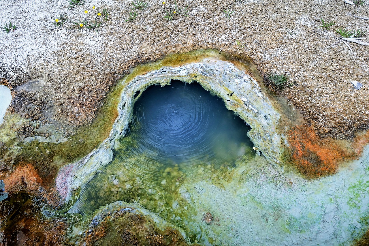 colorful  thermal pool  yellowstone free photo
