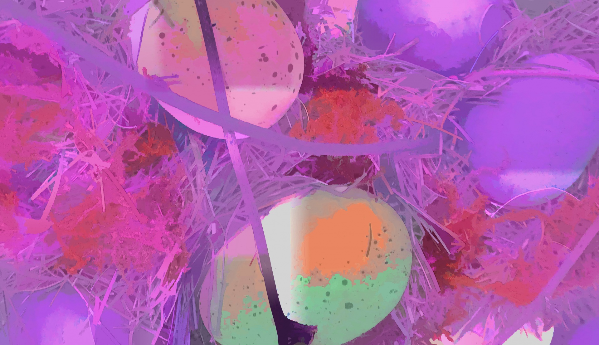 Colorful Abstract Egg Background