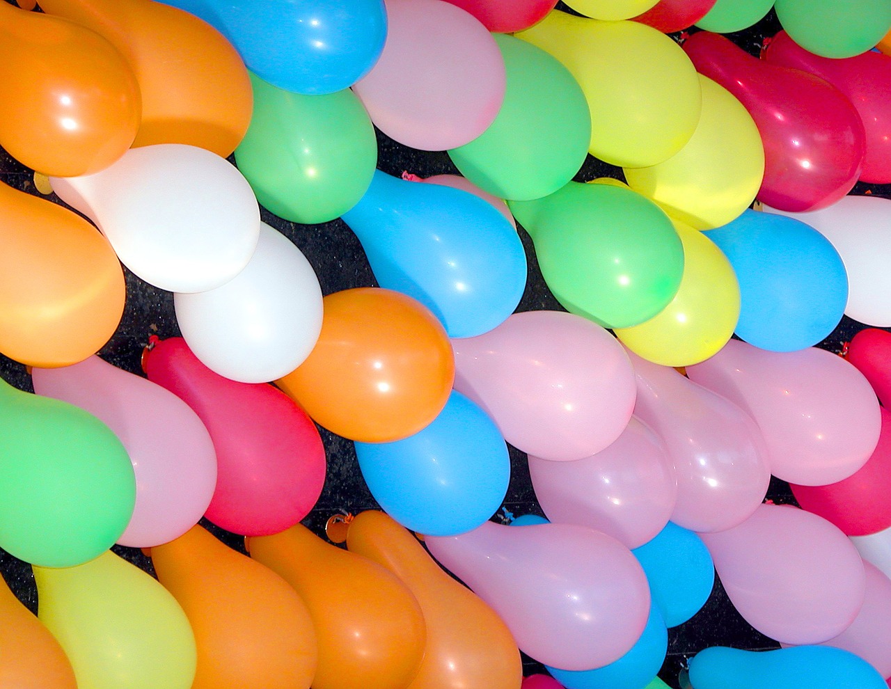 colorful balloons party decorative free photo