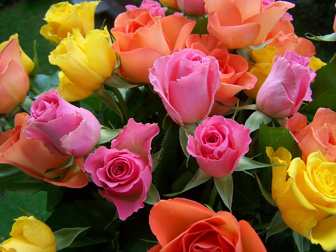 colorful bouquet of roses yellow-orange pink free photo